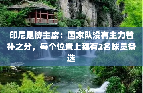 印尼足协主席：国家队没有主力替补之分，每个位置上都有2名球员备选