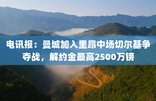 电讯报：曼城加入里昂中场切尔基争夺战，解约金最高2500万镑